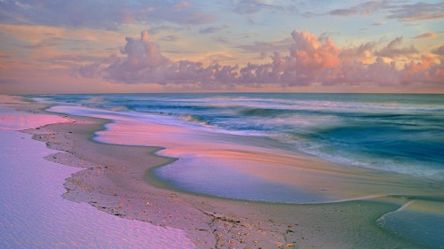 日出时的海滩，海湾岛国家海岸，佛罗里达，美国 (© Tim Fitzharris/Minden Pictures)